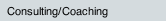Consulting/ Coaching